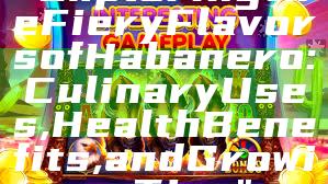 "Exploring the Fiery Flavors of Habanero: Culinary Uses, Health Benefits, and Growing Tips"